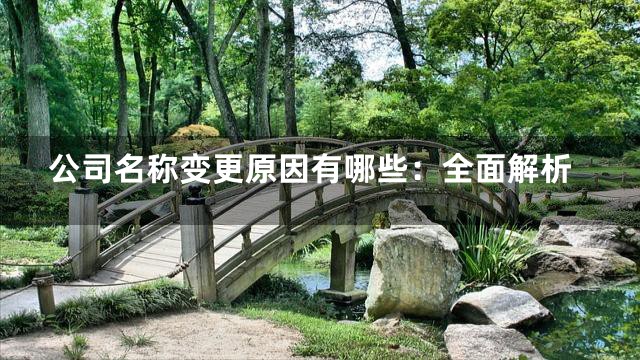公司名称变更原因有哪些：全面解析