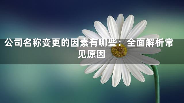 公司名称变更的因素有哪些：全面解析常见原因