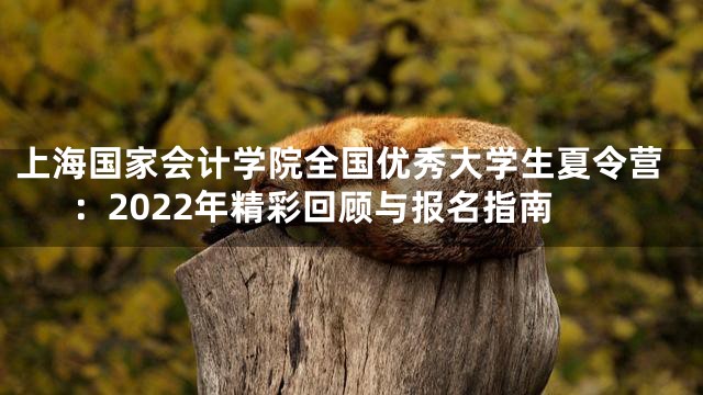 上海国家会计学院全国优秀大学生夏令营：2022年精彩回顾与报名指南