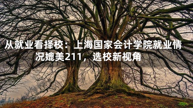 从就业看择校：上海国家会计学院就业情况媲美211，选校新视角