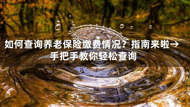 如何查询养老保险缴费情况？指南来啦→手把手教你轻松查询