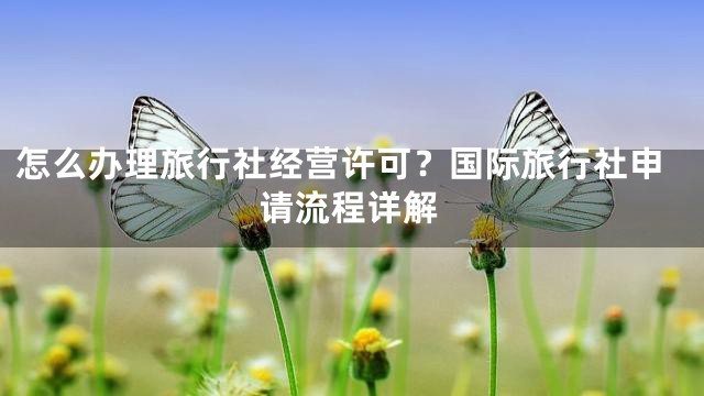 怎么办理旅行社经营许可？国际旅行社申请流程详解