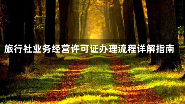 旅行社业务经营许可证办理流程详解指南