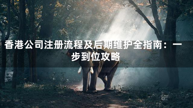 香港公司注册流程及后期维护全指南：一步到位攻略