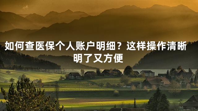 如何查医保个人账户明细？这样操作清晰明了又方便