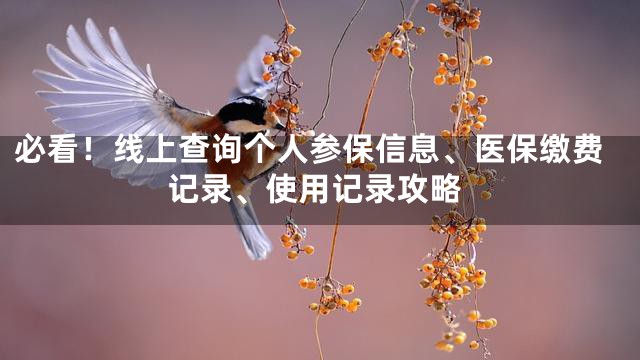 必看！线上查询个人参保信息、医保缴费记录、使用记录攻略