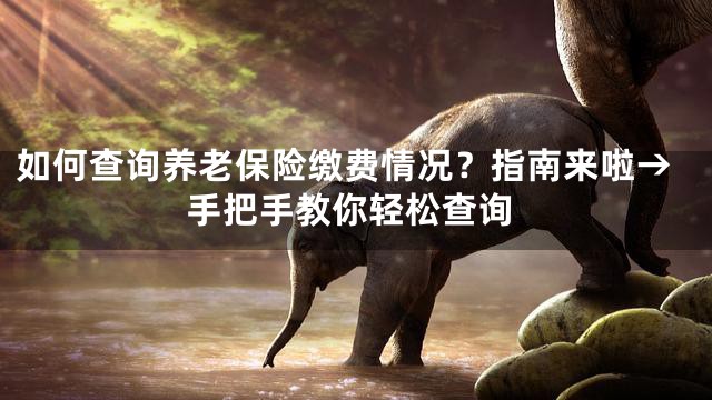 如何查询养老保险缴费情况？指南来啦→手把手教你轻松查询