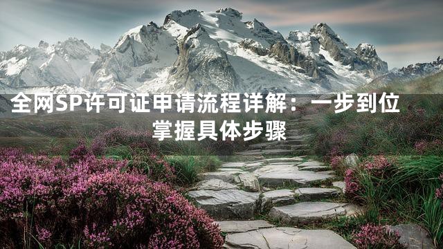 全网SP许可证申请流程详解：一步到位掌握具体步骤