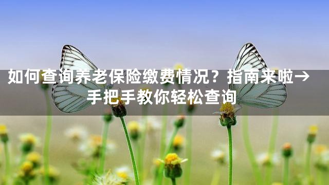 如何查询养老保险缴费情况？指南来啦→手把手教你轻松查询