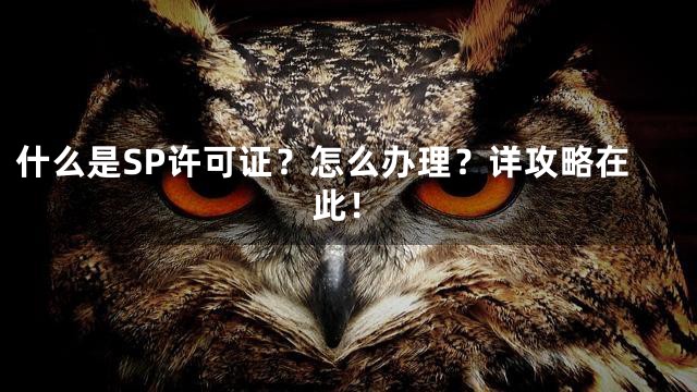 什么是SP许可证？怎么办理？详攻略在此！