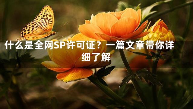 什么是全网SP许可证？一篇文章带你详细了解