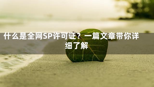 什么是全网SP许可证？一篇文章带你详细了解