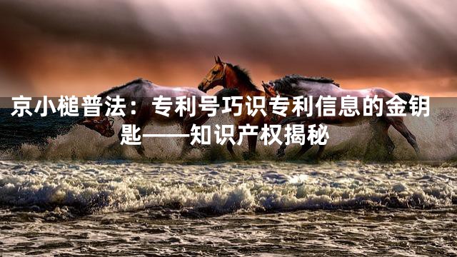 京小槌普法：专利号巧识专利信息的金钥匙——知识产权揭秘