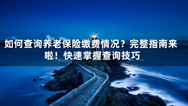 如何查询养老保险缴费情况？完整指南来啦！快速掌握查询技巧