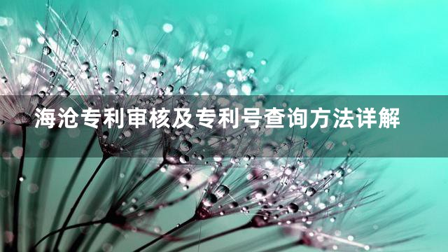 海沧专利审核及专利号查询方法详解
