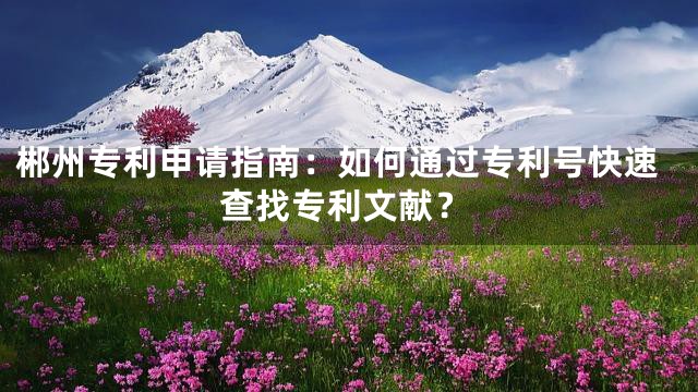 郴州专利申请指南：如何通过专利号快速查找专利文献？