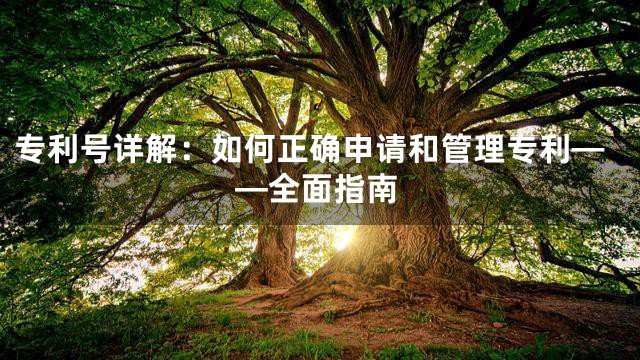 专利号详解：如何正确申请和管理专利——全面指南
