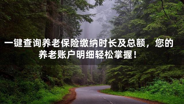 一键查询养老保险缴纳时长及总额，您的养老账户明细轻松掌握！