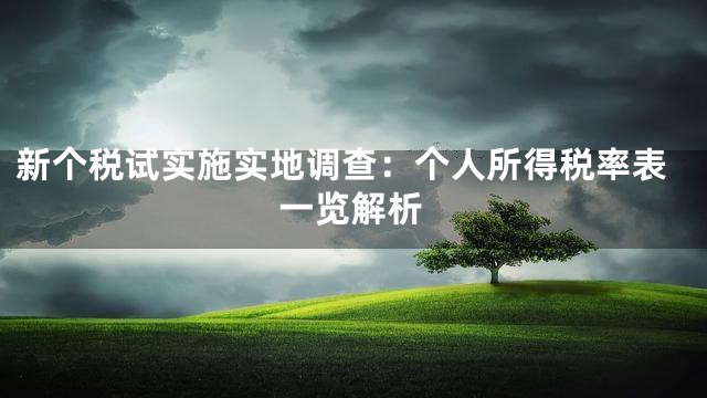 新个税试实施实地调查：个人所得税率表一览解析