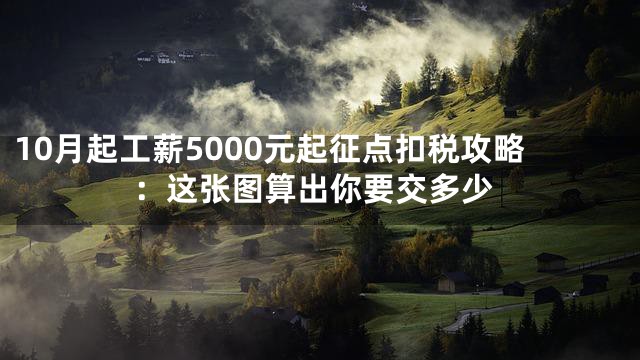 10月起工薪5000元起征点扣税攻略：这张图算出你要交多少