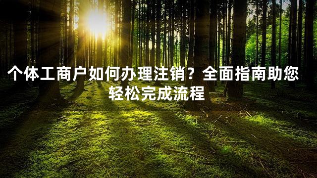 个体工商户如何办理注销？全面指南助您轻松完成流程