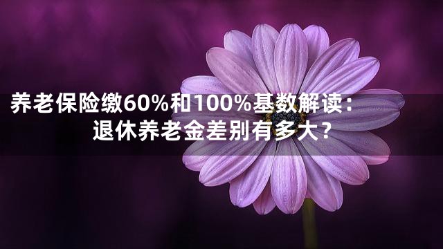 养老保险缴60%和100%基数解读：退休养老金差别有多大？