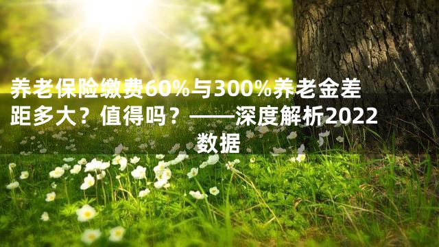 养老保险缴费60%与300%养老金差距多大？值得吗？——深度解析2022数据
