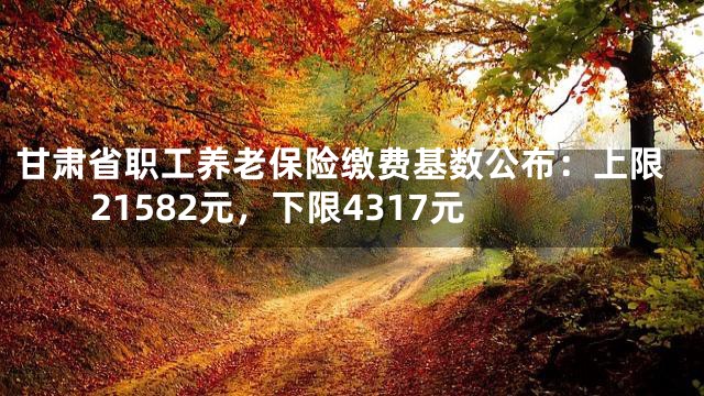 甘肃省职工养老保险缴费基数公布：上限21582元，下限4317元