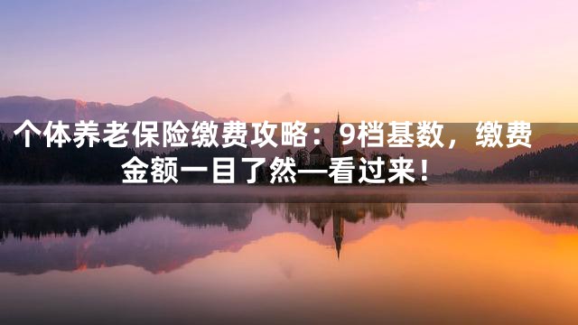 个体养老保险缴费攻略：9档基数，缴费金额一目了然—看过来！
