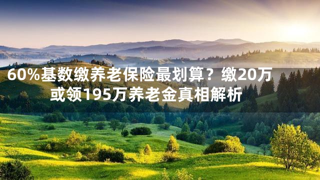 60%基数缴养老保险最划算？缴20万或领195万养老金真相解析