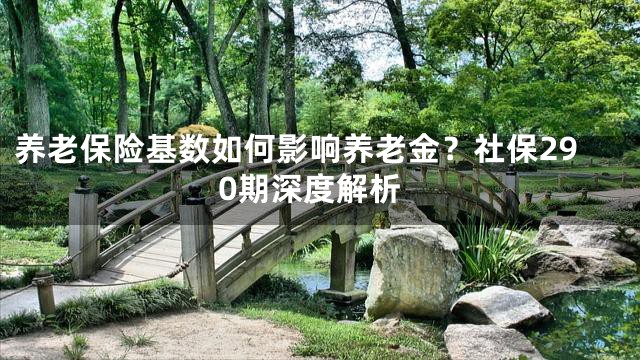 养老保险基数如何影响养老金？社保290期深度解析