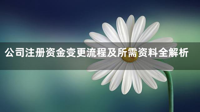 公司注册资金变更流程及所需资料全解析