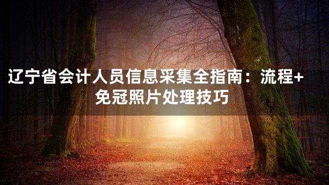 辽宁省会计人员信息采集全指南：流程+免冠照片处理技巧