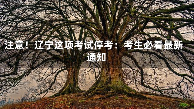 注意！辽宁这项考试停考：考生必看最新通知