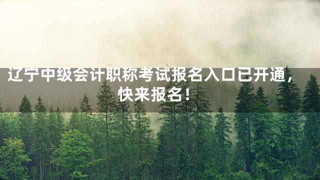 辽宁中级会计职称考试报名入口已开通，快来报名！