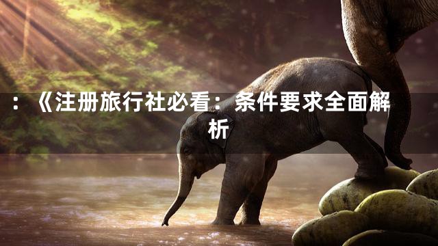 ：《
注册旅行社必看：条件要求全面解析