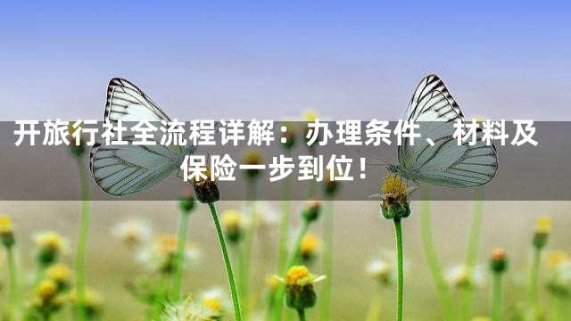 开旅行社全流程详解：办理条件、材料及保险一步到位！