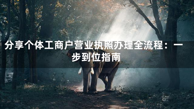 分享个体工商户营业执照办理全流程：一步到位指南