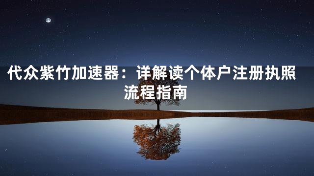 代众紫竹加速器：详解读个体户注册执照流程指南