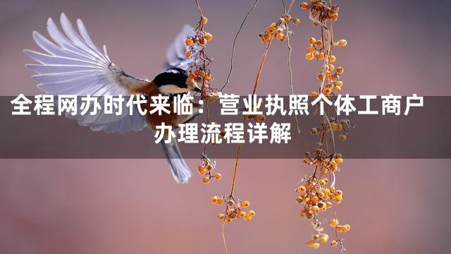 全程网办时代来临：营业执照个体工商户办理流程详解