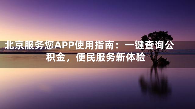 北京服务您APP使用指南：一键查询公积金，便民服务新体验