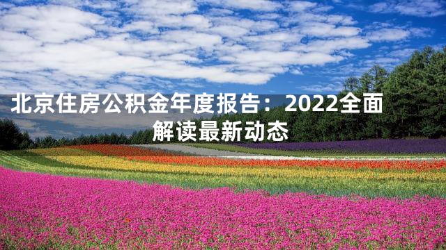 北京住房公积金年度报告：2022全面解读最新动态
