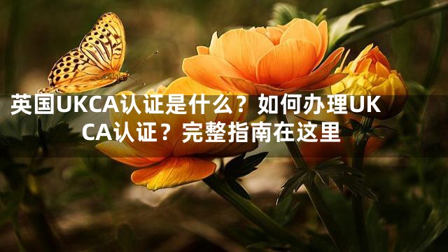 英国UKCA认证是什么？如何办理UKCA认证？完整指南在这里