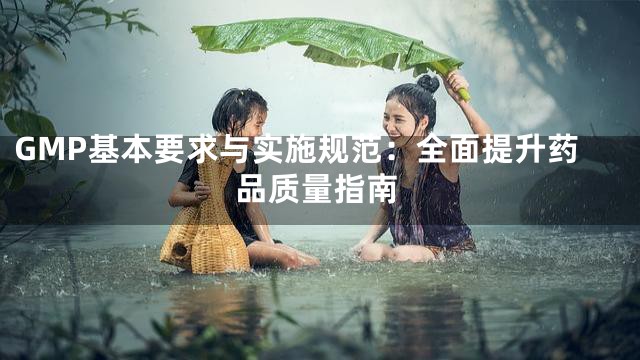 GMP基本要求与实施规范：全面提升药品质量指南