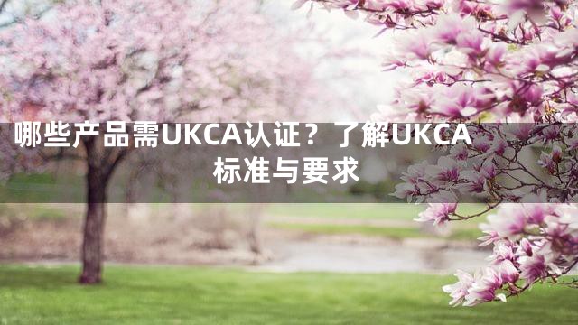 哪些产品需UKCA认证？了解UKCA标准与要求