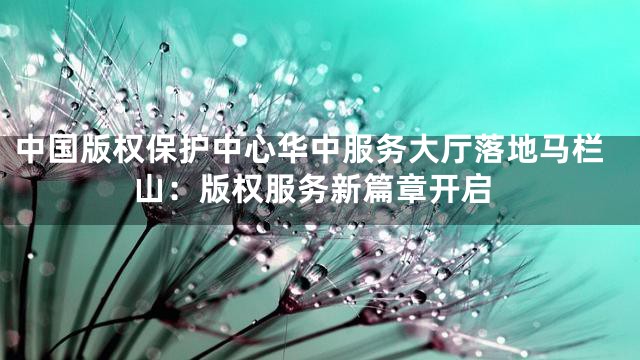 中国版权保护中心华中服务大厅落地马栏山：版权服务新篇章开启