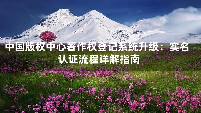 中国版权中心著作权登记系统升级：实名认证流程详解指南