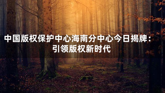 中国版权保护中心海南分中心今日揭牌：引领版权新时代