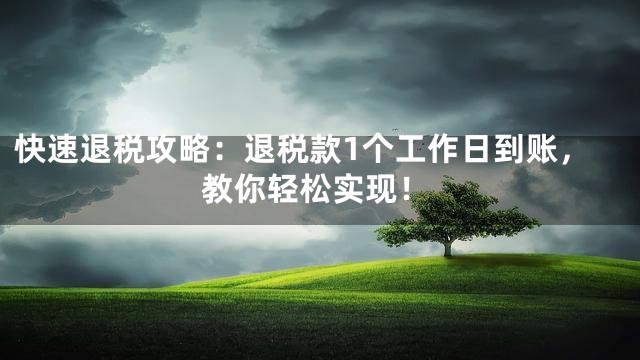 快速退税攻略：退税款1个工作日到账，教你轻松实现！