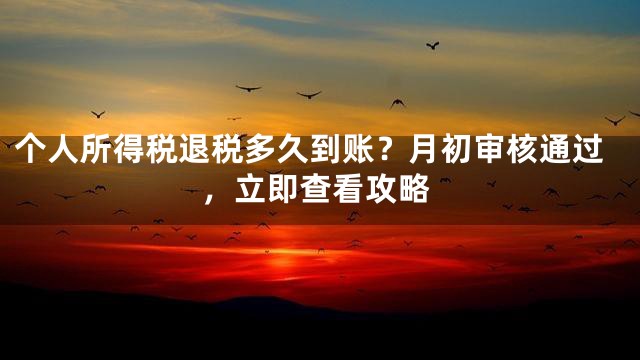 个人所得税退税多久到账？月初审核通过，立即查看攻略